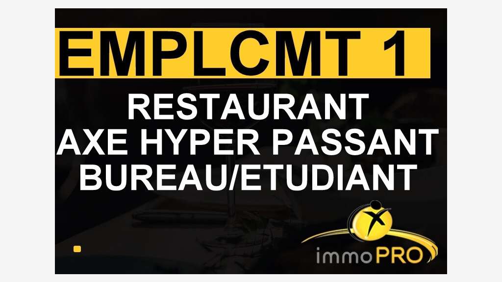 AV très belle affaire de restauration emp N°1 Lyon