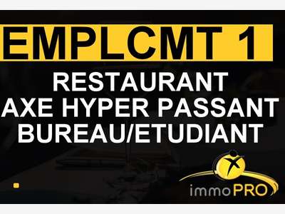 AV très belle affaire de restauration emp N°1 Lyon