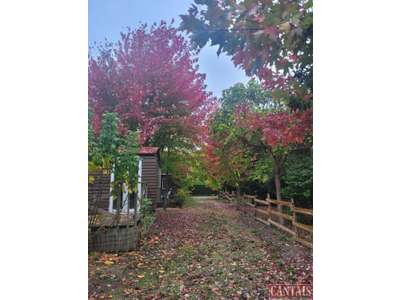 Vente Chambres d'hôtes - Gîtes à Agen