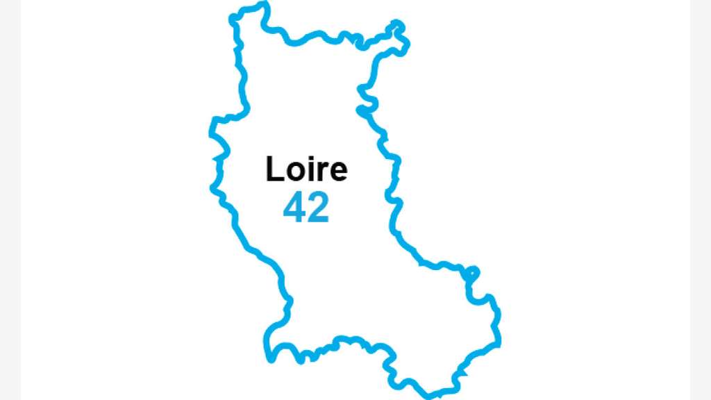 Agence immobilière Laforêt à vendre dans la Loire