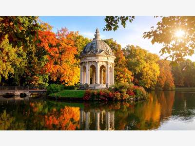 94-Belle agence Transaction et location Century 21