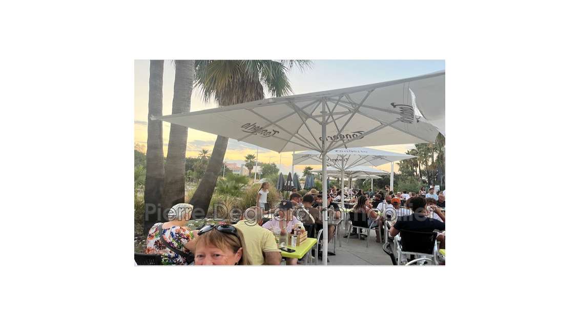 AV murs et fonds brasserie bar glacier Cap d'Agde