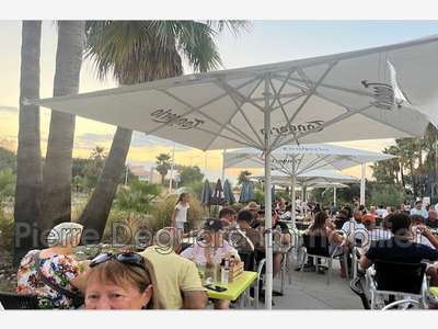 AV murs et fonds brasserie bar glacier Cap d'Agde