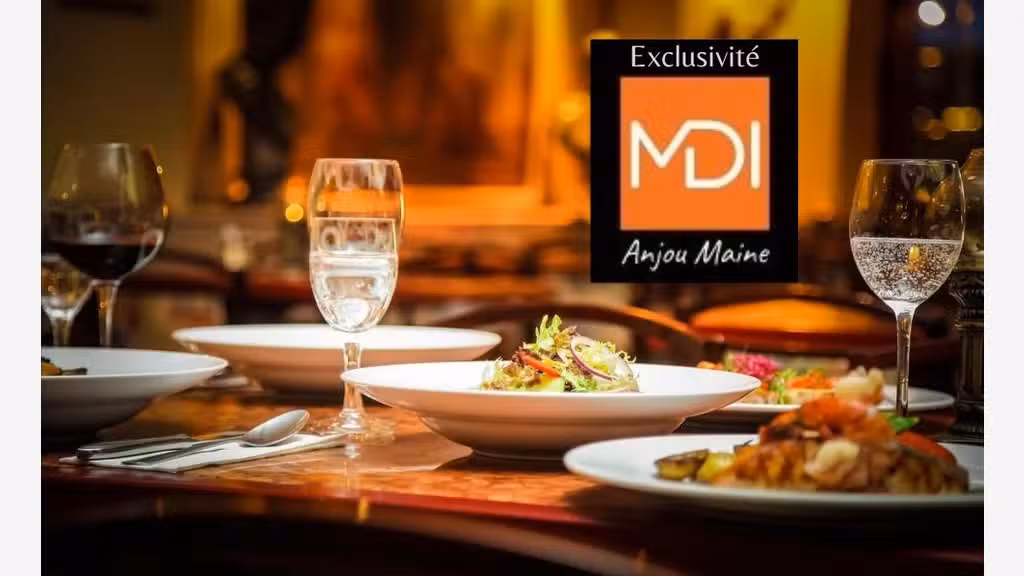 Vente restaurant bar du midi à 45mn d'Angers