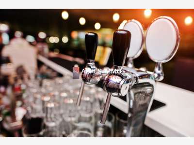 Vente bar licence 4 emplacement attractif à Annecy