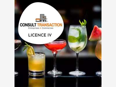 Vente licence IV sur La Baule