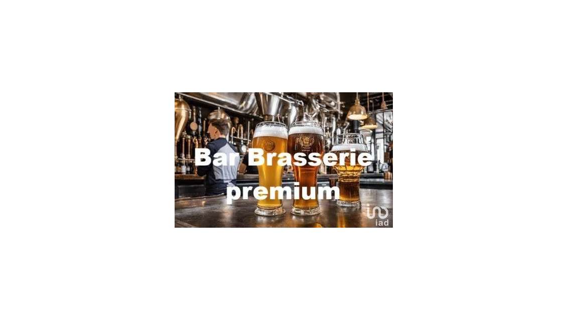 Bar brasserie à Lille
