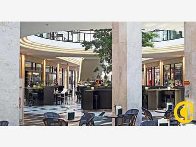 Vente brasserie 175 pl à Lyon bel emplacement