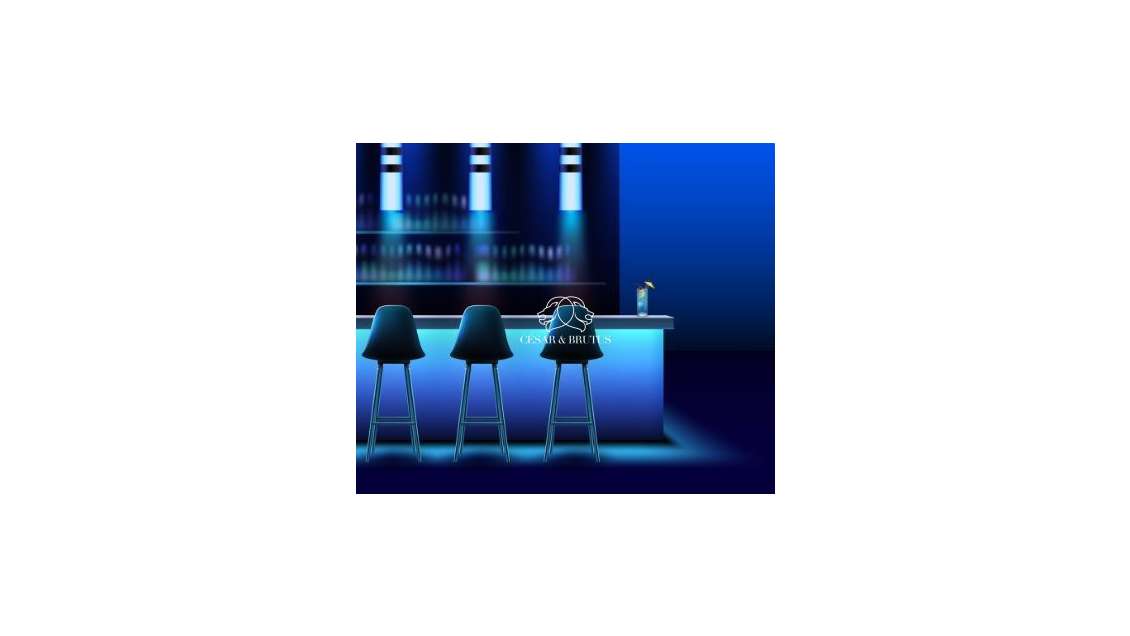 Vente bar festif emplacement N°1 à Lyon 69002