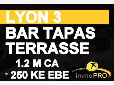 Cède bar immense terrasse petite restauration Lyon