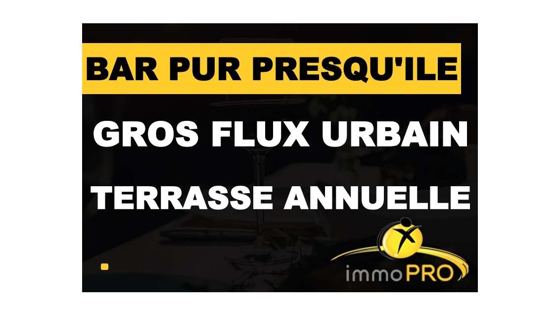 Vente bar pur rénové en 2024 à Lyon prox gare
