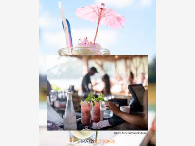 Bar à cocktail & Glacier - Plage 66