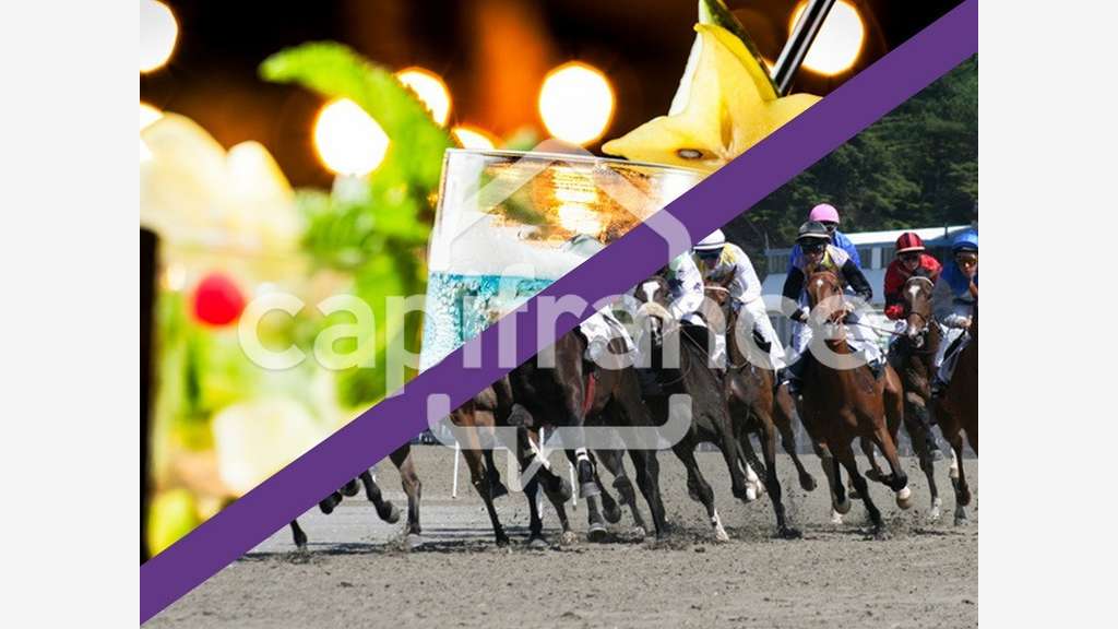 Vente bar Tabac FDJ PMU en Finistère Sud