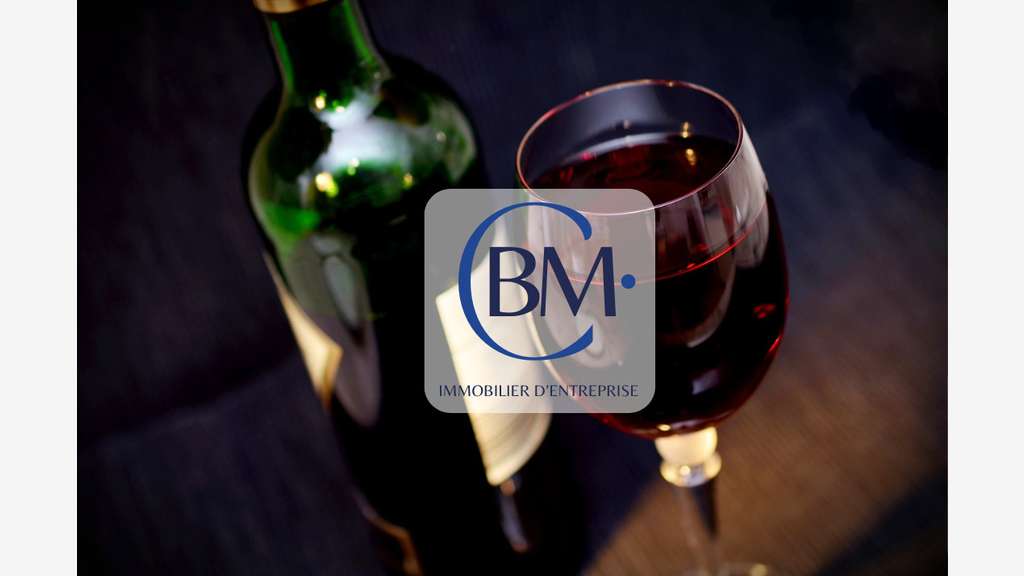 A vendre bar licence 4 de 60m² à Toulouse Daurade 