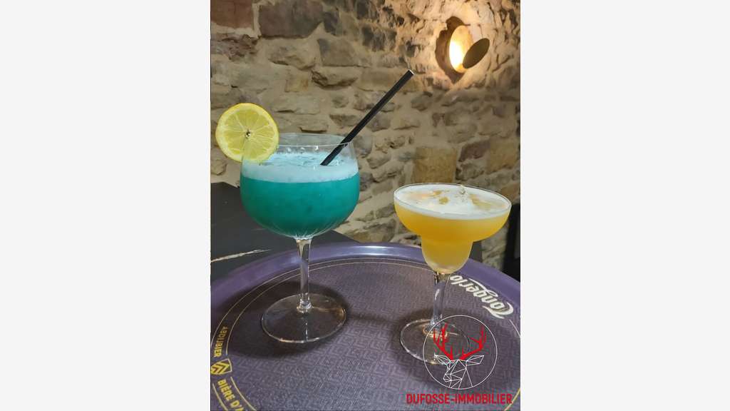 Vente bar restaurant sandwicherie au Val d'Oignt