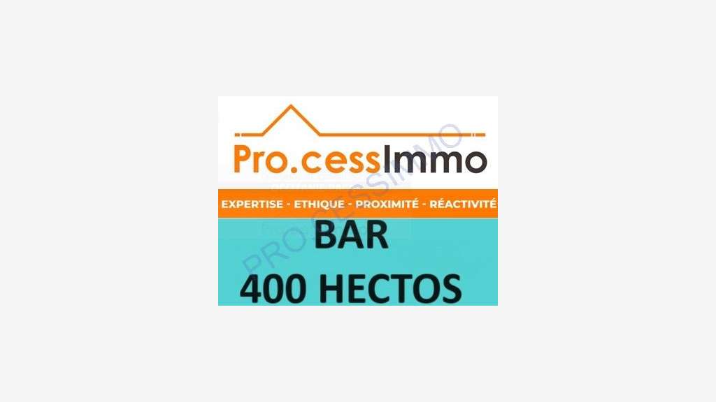Vente bar brasserie 100 % limonade Sud France 84