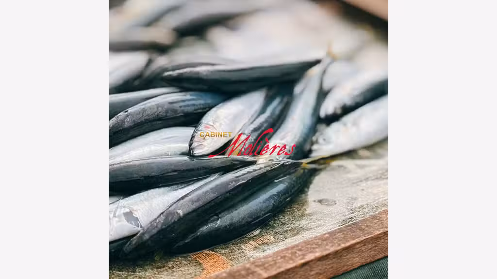 AV FDC poissonnerie excellente visibilité Toulouse