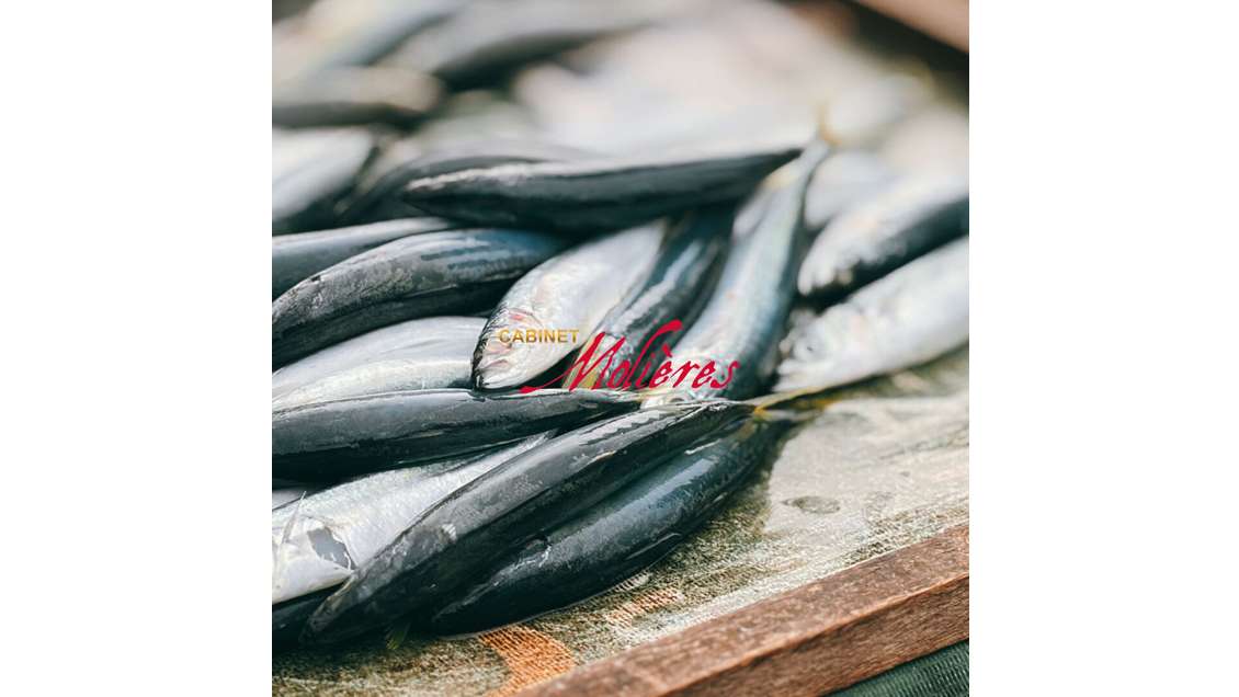 AV FDC poissonnerie excellente visibilité Toulouse