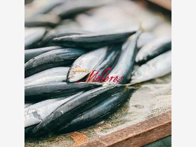 AV FDC poissonnerie excellente visibilité Toulouse