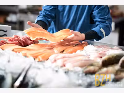 POISSONNERIE DE MARCHE - MORBIHAN