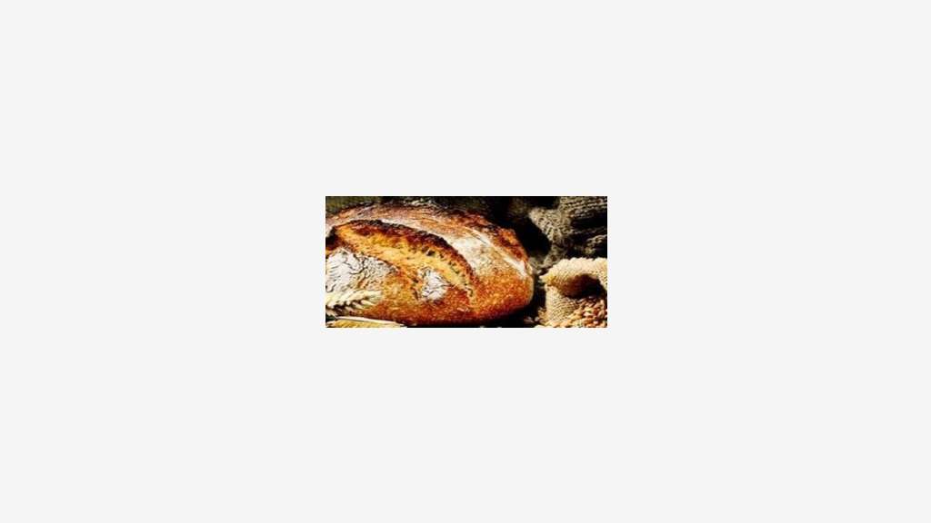 Vente boulangerie idéale 1 ere installation Landes