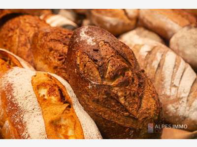 À VENDRE – BOULANGERIE-PÂTISSERIE RENTABLE – FOUR