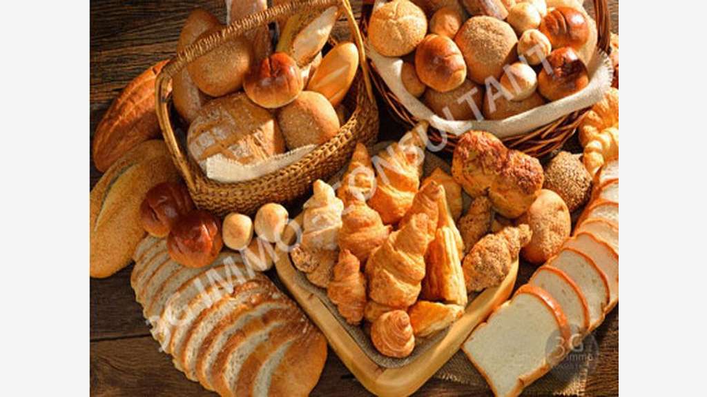 Vente restauration rapide zc proche de Carcassonne