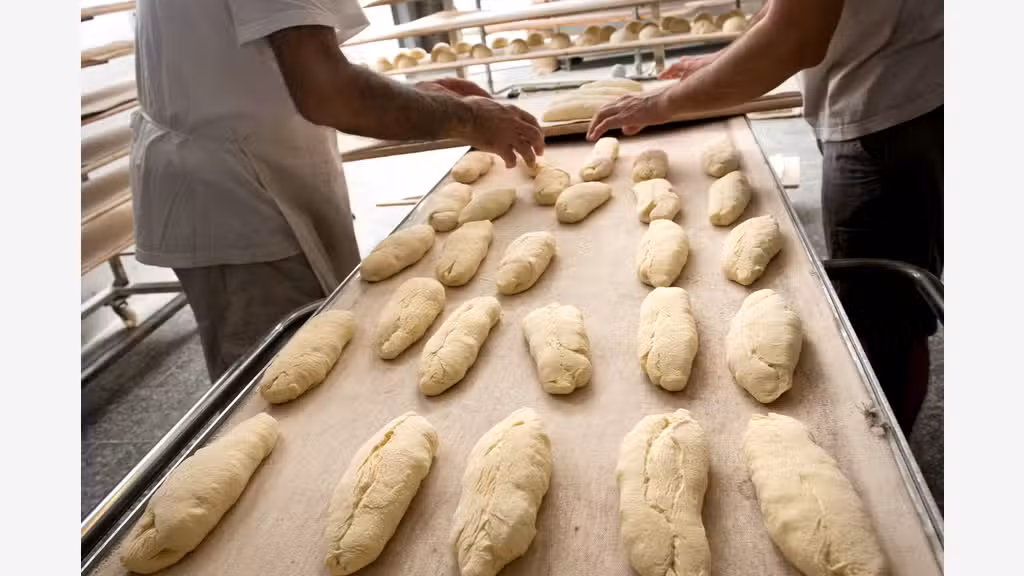 Vente murs et fonds boulangerie pâtisserie 31