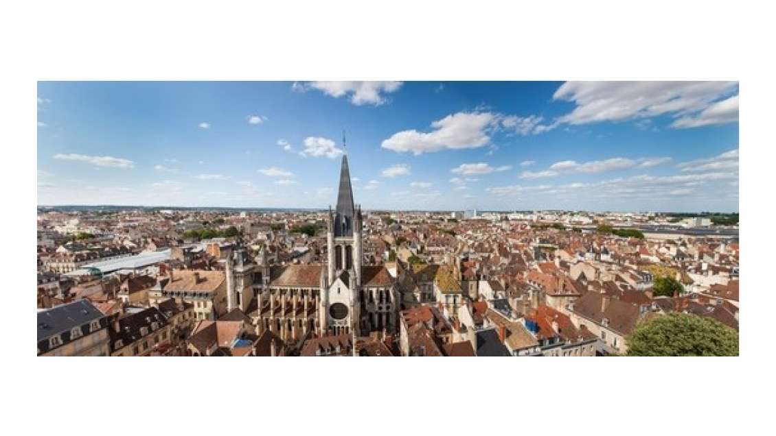 Vente terminal de cuisson à Dijon