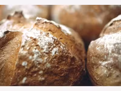Boulangerie attractive en périphérie de Bordeaux