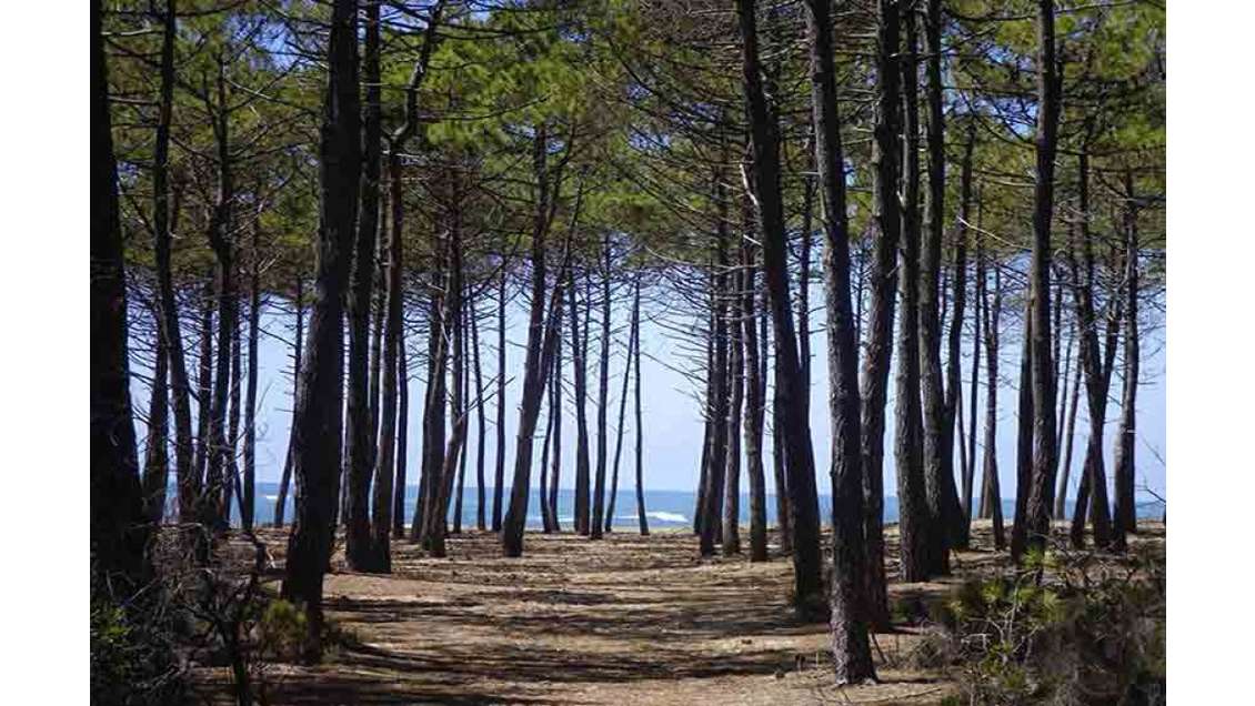 A vendre, magnifique boulangerie, Landes