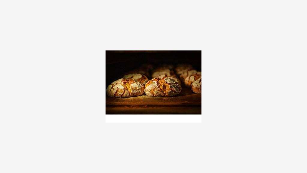 Vente boulangerie-Pâtisserie structurée Landes