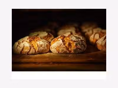 Vente boulangerie-Pâtisserie structurée Landes