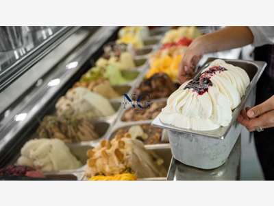 Vente FDC glacier gaufres crëpes port du Morbihan