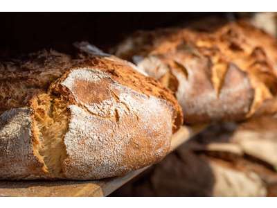 Vente Boulangerie - Pâtisserie au Bourget-du-Lac