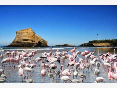 A VENDRE, boulangerie, zone commerciale, BIARRITZ