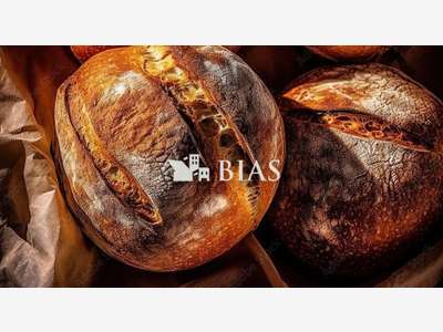 Boulangerie pâtisserie à vendre murs et fonds 76