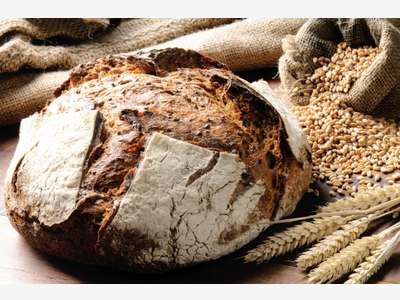 Tarn RARE vente boulangerie fonds murs et logement