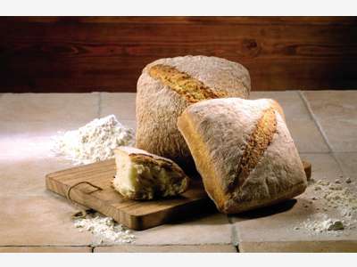 Vente très belle boulangerie à potentiel à ALBI