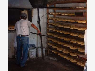 Vente boulangerie grosse capacité de production !