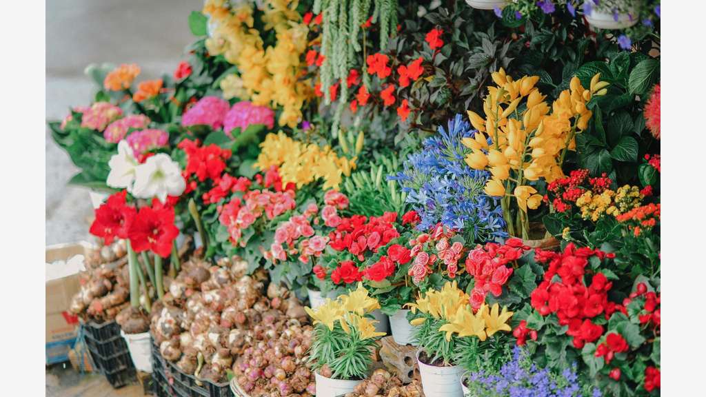 Cède FDC fleurs bon chiffre d'affaire à Lyon Est