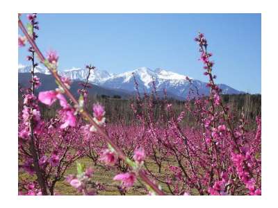 Vente Camping à Perpignan