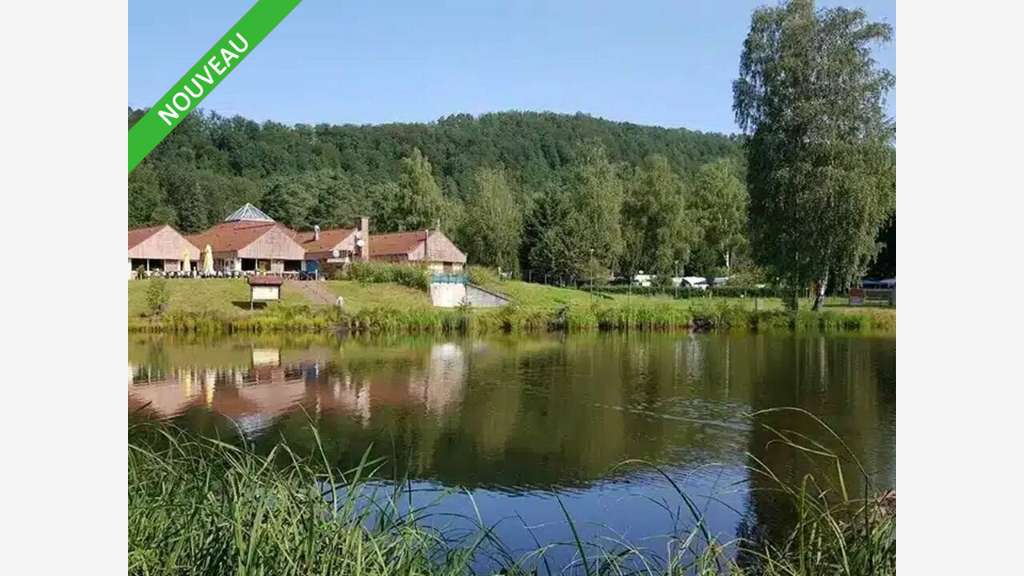 Camping sur 10.8 ha à reprendre Moselle Est (57)