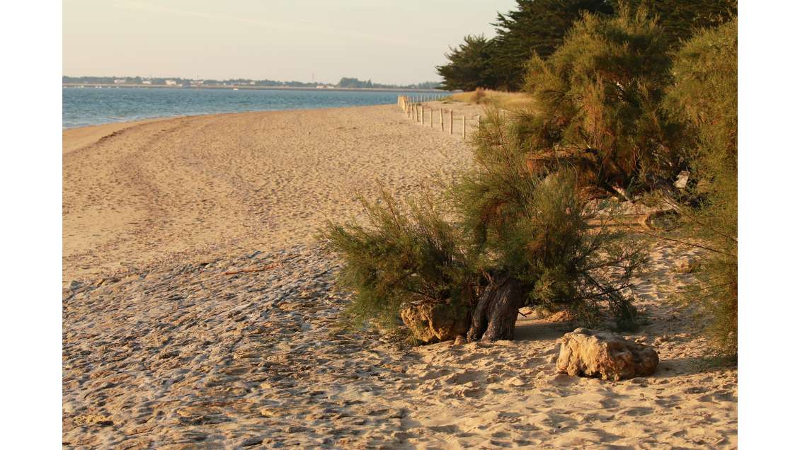 Exclusivité camping plage à pied en Pays de Loire