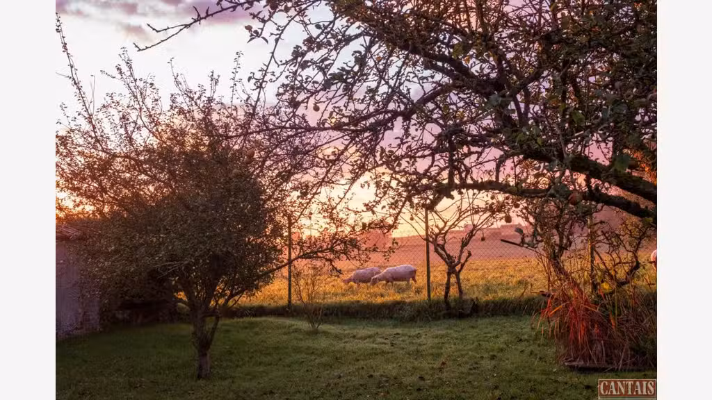 Vente chambre d'hôte haut de gamme village Normand