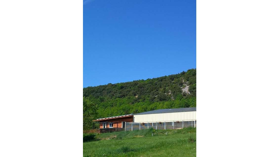Vente local et fonds chenil à Banon
