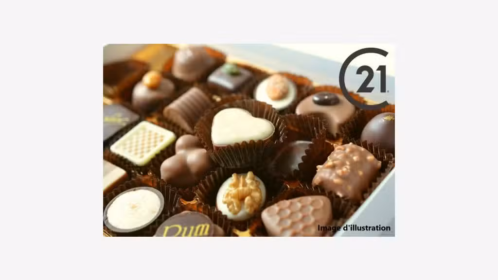 Vente chocolatier pâtisserie salon thé glacier 66