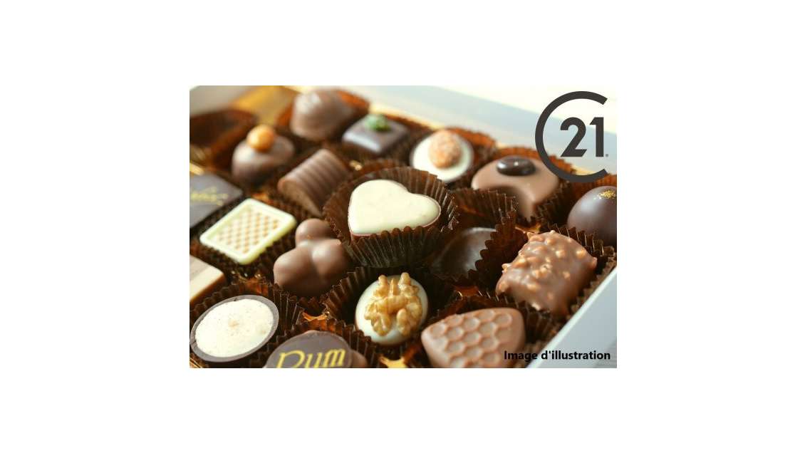 Vente chocolatier pâtisserie salon thé glacier 66