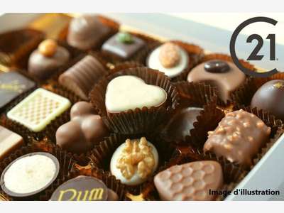 Vente chocolatier pâtisserie salon thé glacier 66