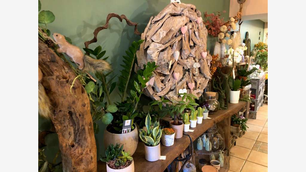 🌸 À vendre boutique de fleurs & décoration (13)